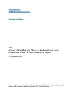 A study of chief nursing officers as the lead voice for the professional nurse : a phenomenological inquiry